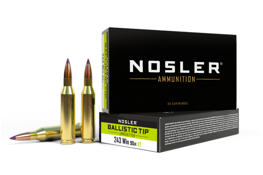 243 Ammo