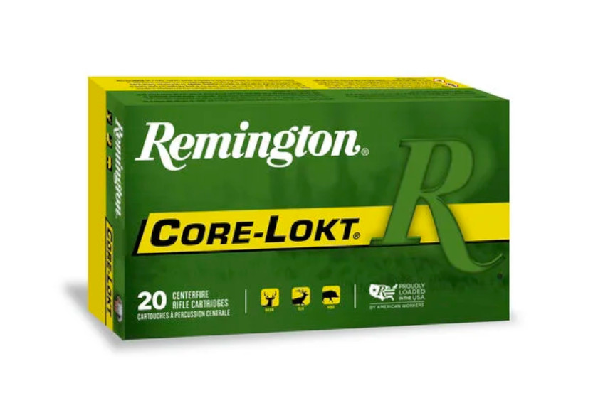 243 Ammo