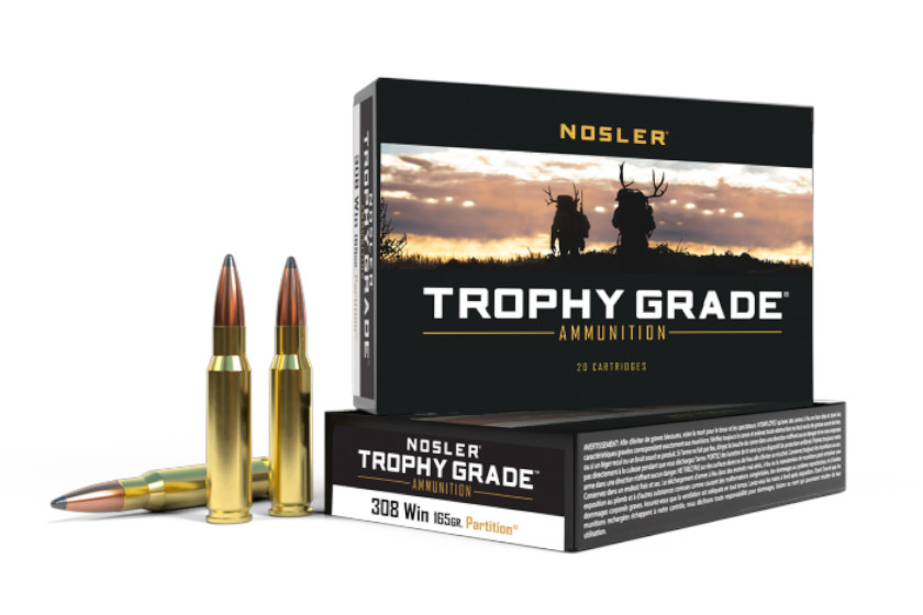 308 Ammo