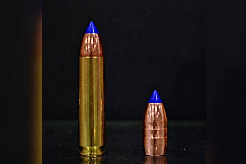 450 Bushmaster Ammo