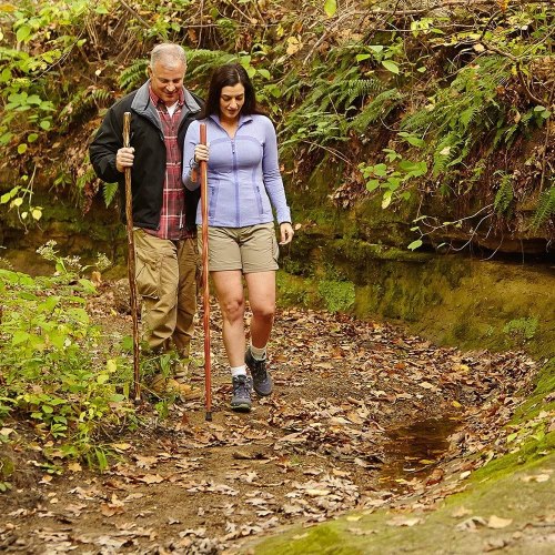 Brazos Trekking Pole, Hiking Pole, Hiking Stick or Walking Stick Handcrafted of Lightweight Wood and Made in the USA, Traditional, Hickory, 55 Inches 