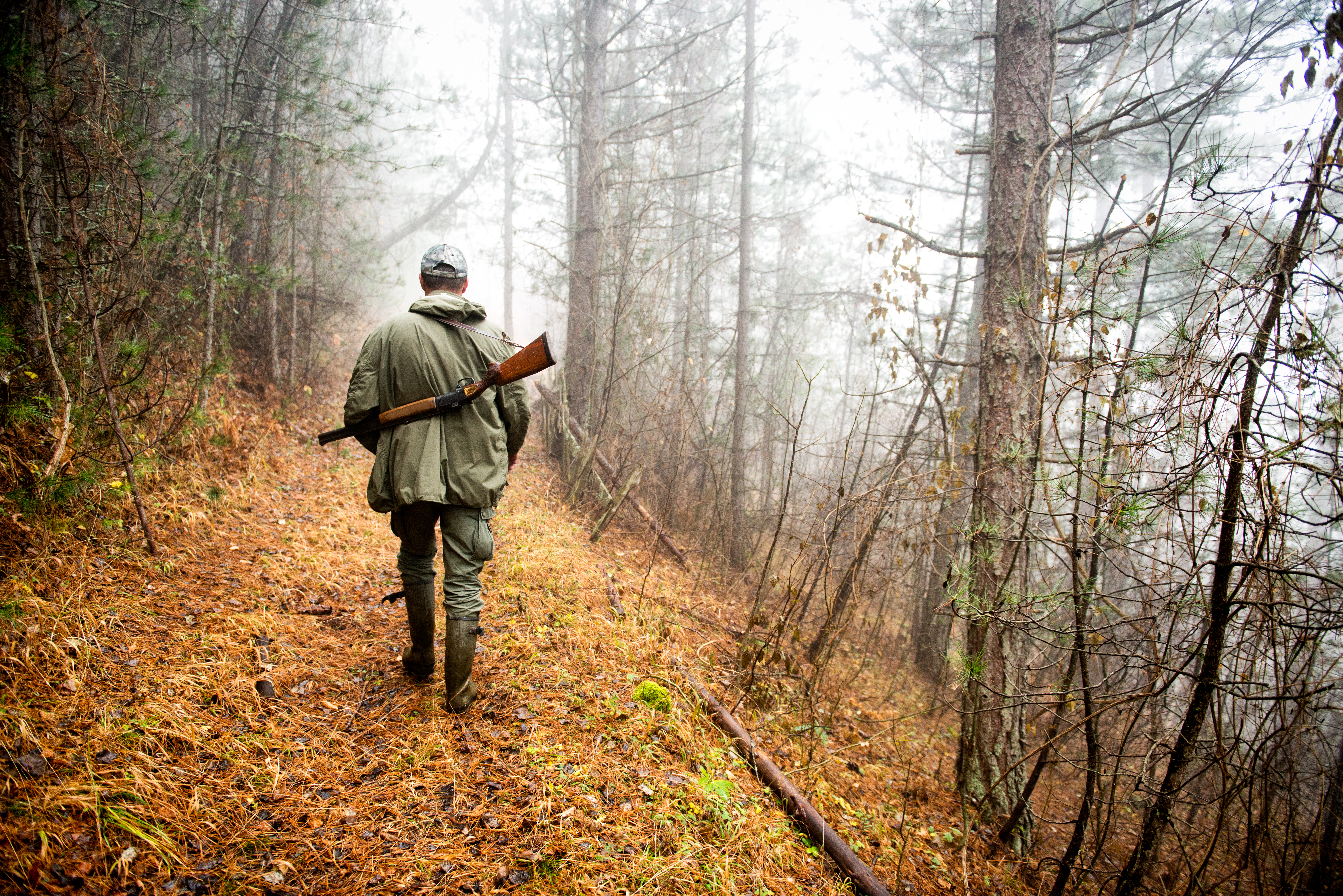 How to Find a Deer without a Blood Trail