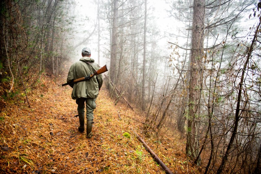 How to Find a Deer without a Blood Trail