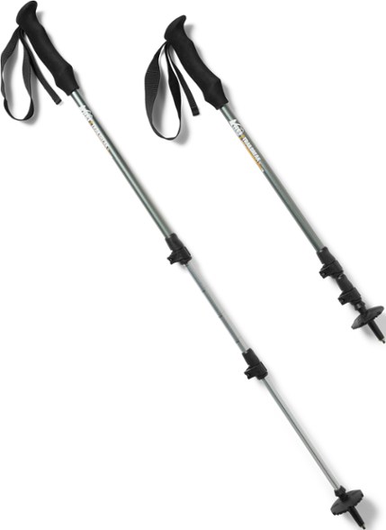 REI Co-op Trailbreak Trekking Poles - Pair