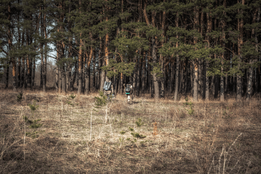 public land hunting