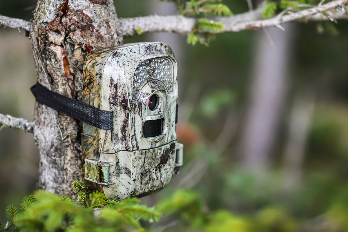 trail cam repair
