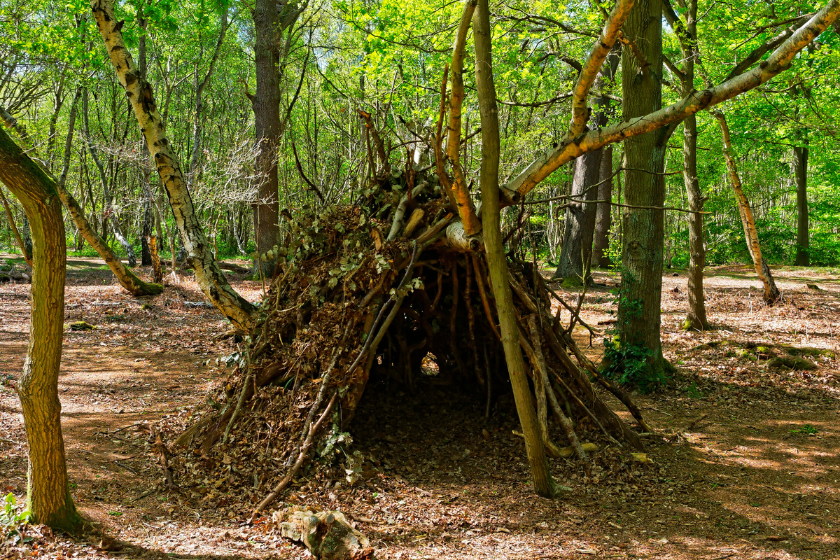 tips on how to build a successful shelter 
