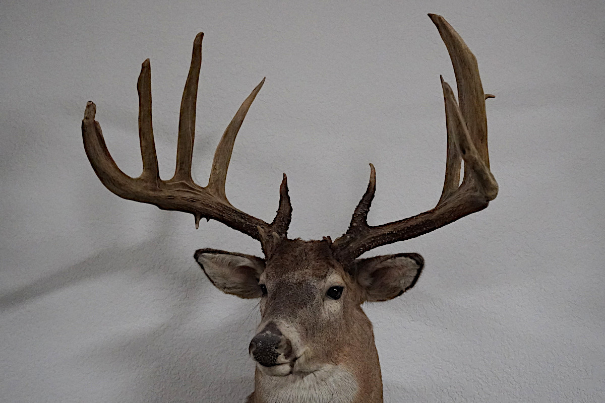 John Breen Buck