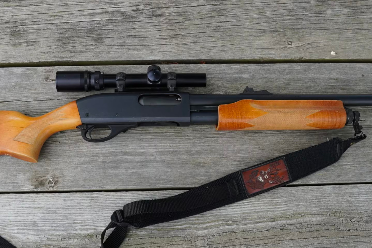 Shotgun Only States