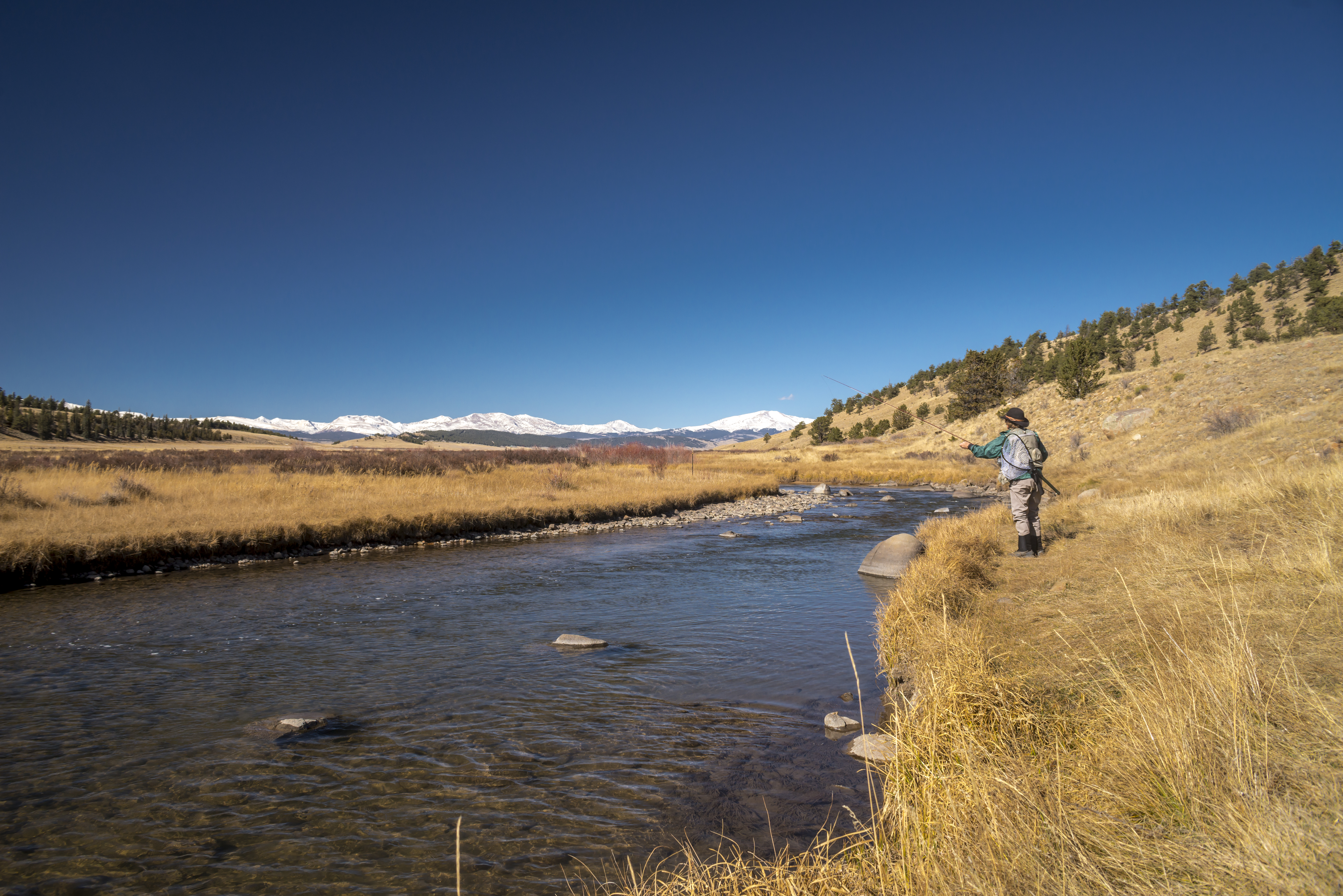 A senior woman fly-fishing in the South Platte located in Park County, Colorado.  Fall colors are just starting to show.  She is alone in the tranquil environment.