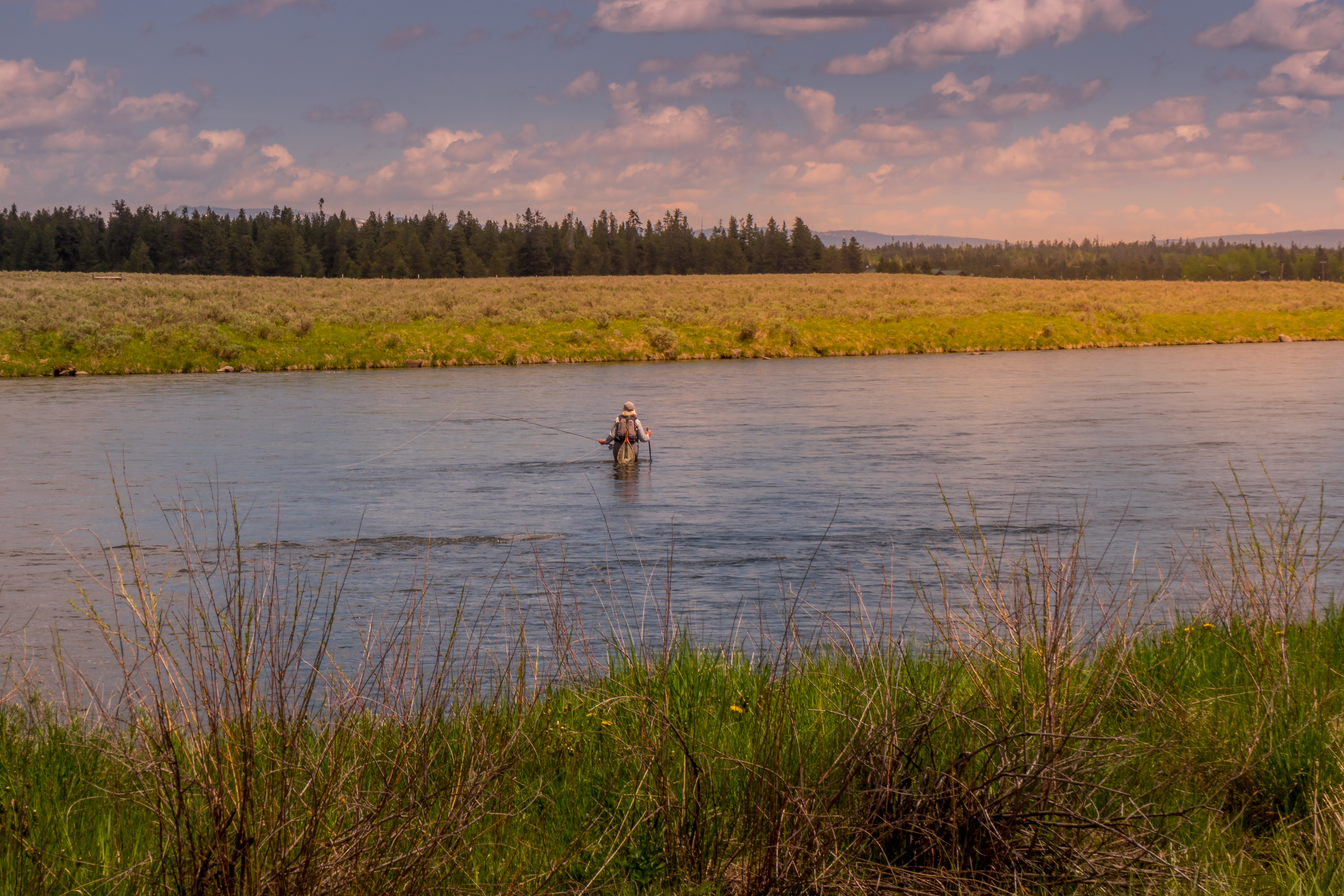 Fly fishing along Henry's Fork River in Idaho with golden fields and snow capped mountains in the distance. A golden glow over the river as the sun begins to set on this tranquil scene.