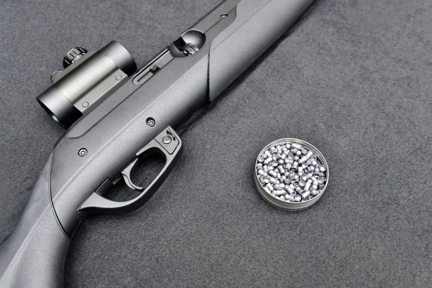 best budget friendly pellet guns