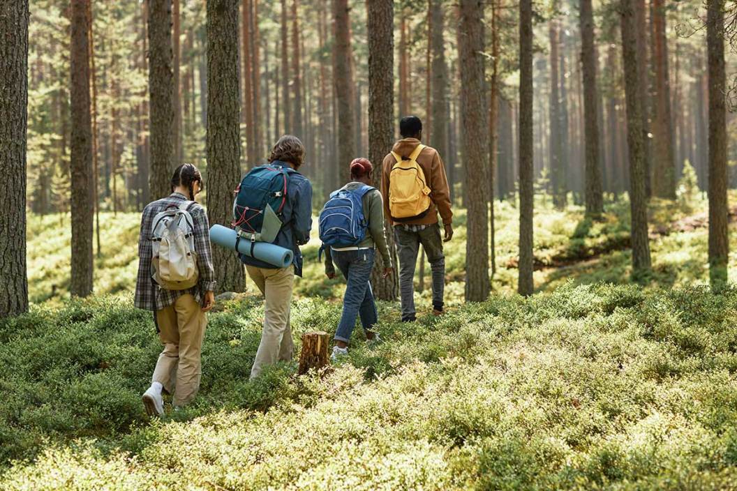 diversity outdoors