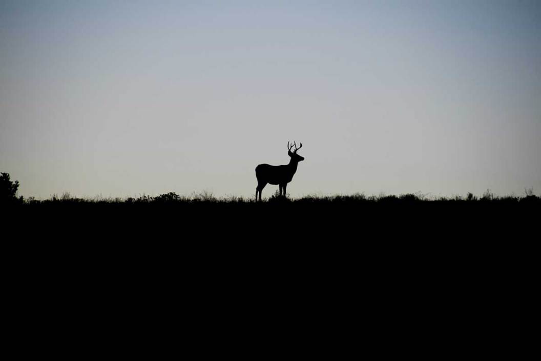 public land timing