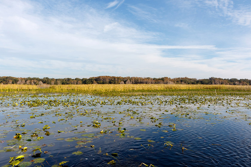 fishing frogs in the fall