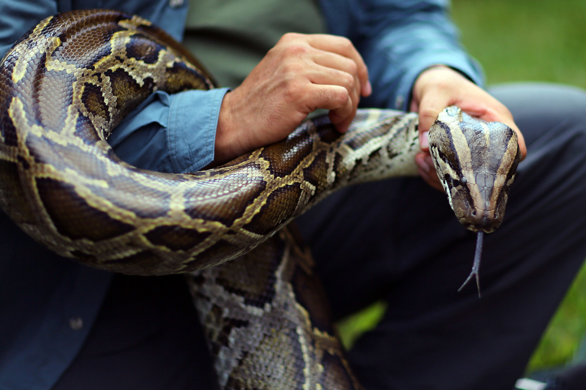 Python Challenge Winners