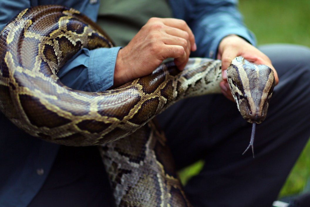 Python Challenge Winners