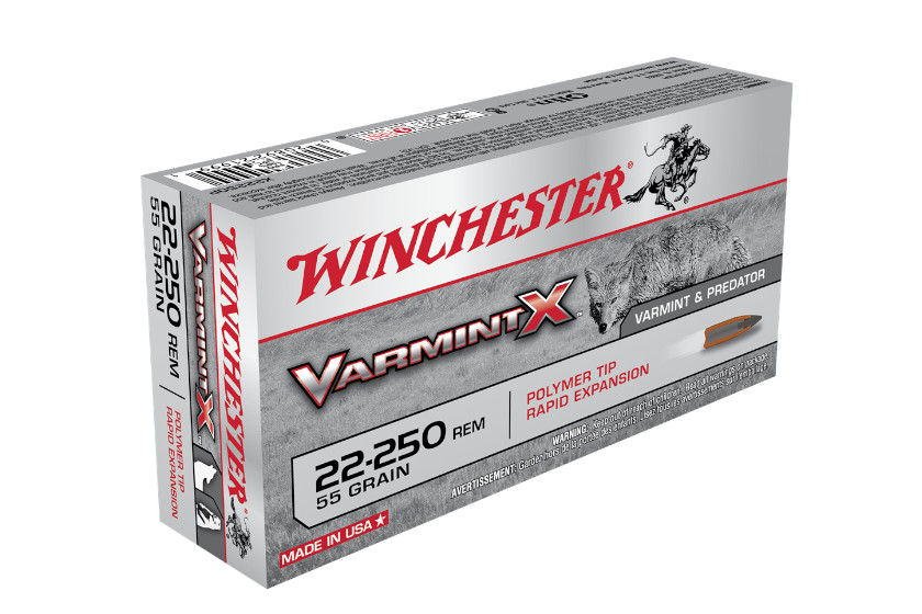 22-250 Ammo