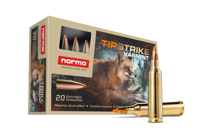 22-250 Ammo