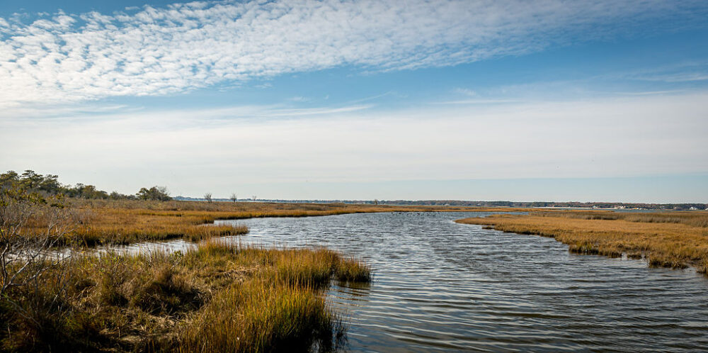 Assateague Island National Seashore in Maryland