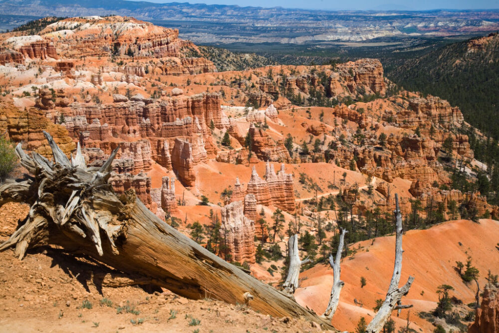 Bryce Canyon National Park in Utah