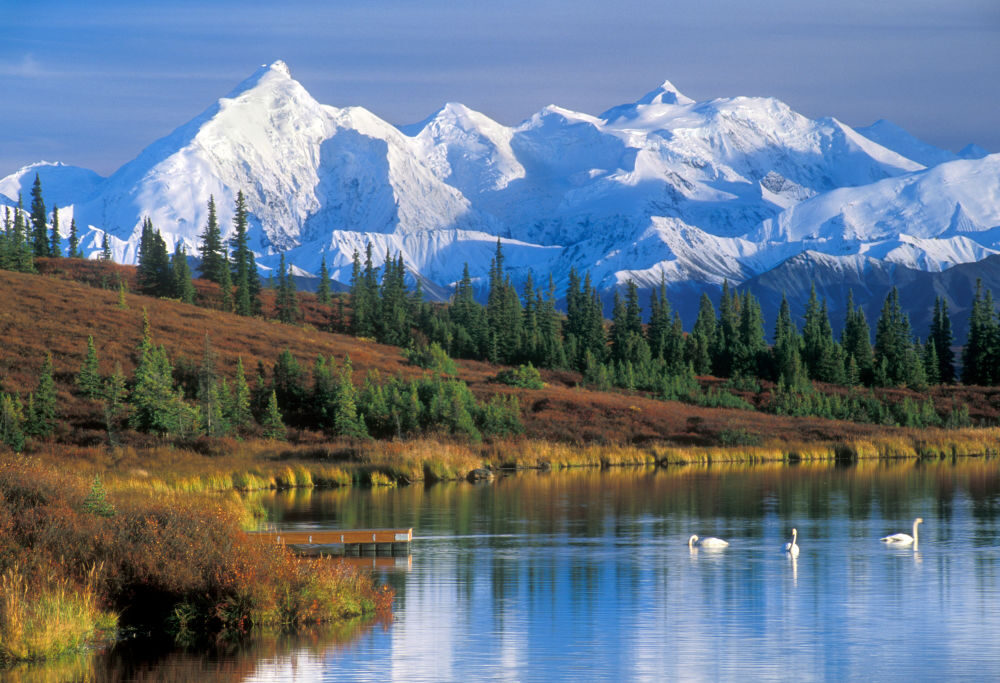 Denali National Park in Alaska