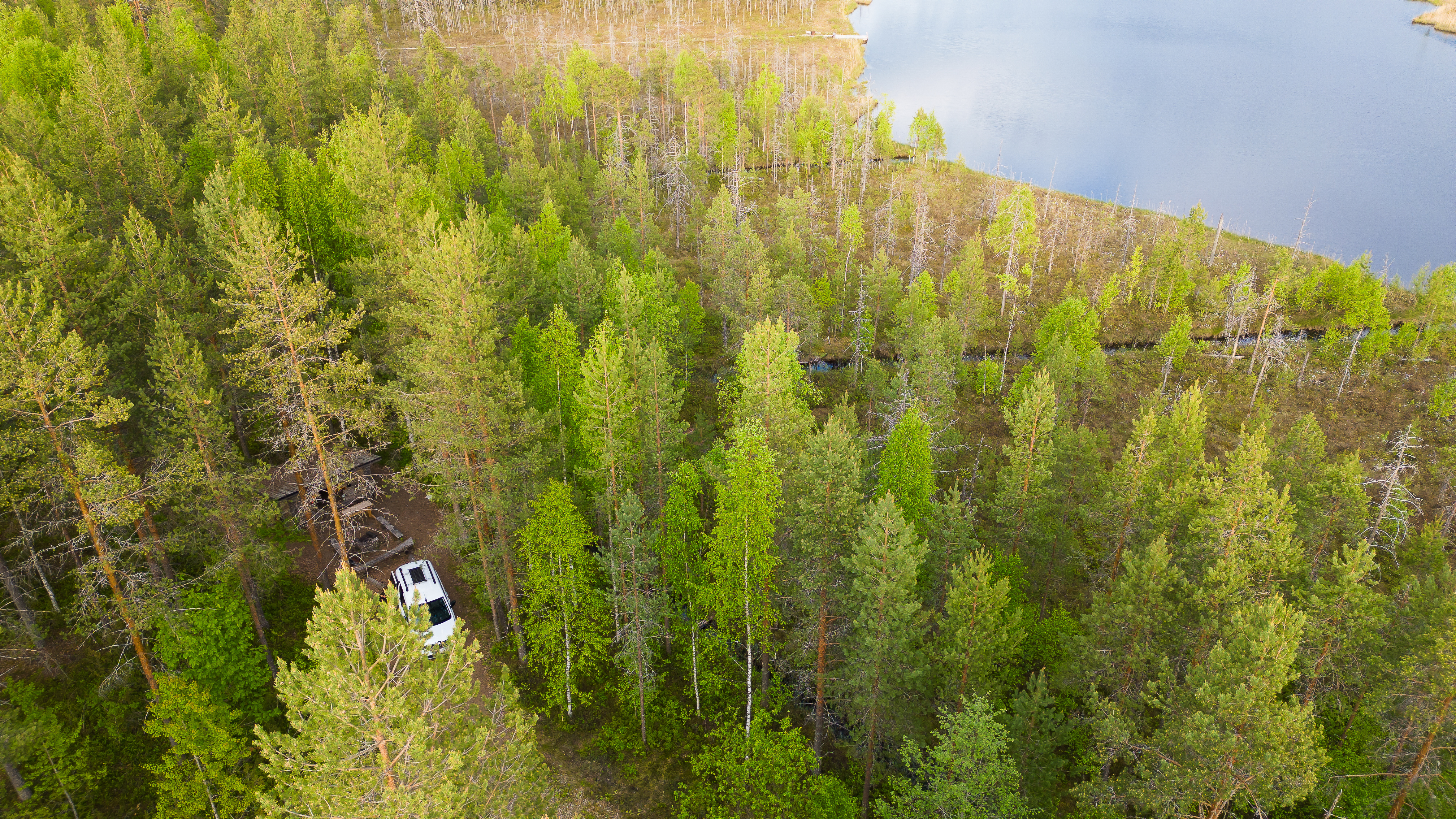 Camping car wildcamping in a forest in Sweden with a lake nearby 