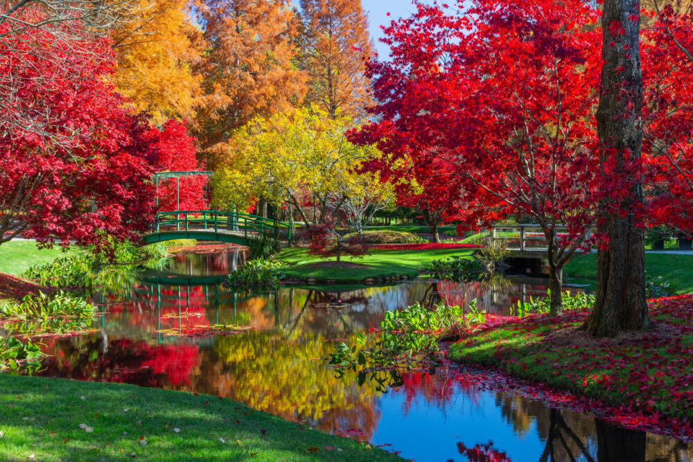 Gibbs Gardens in Georgia