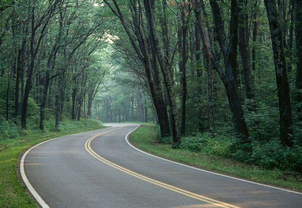 Shenandoah National Park in Virginia