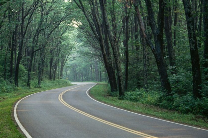 Shenandoah National Park in Virginia