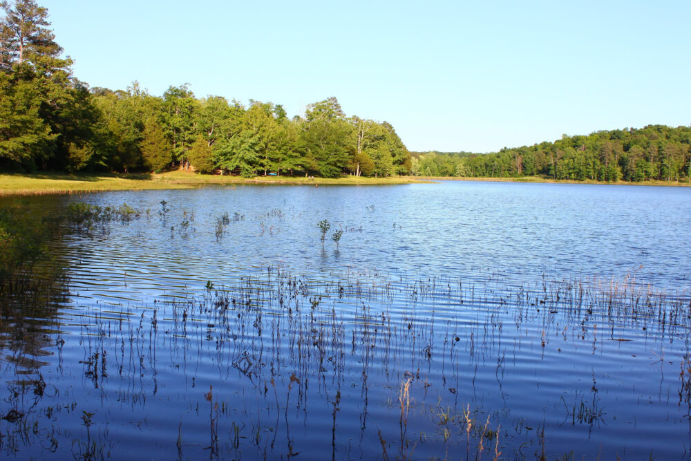 Tishomingo State Park in Mississippi