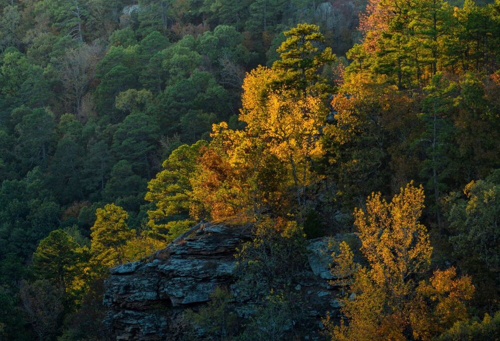 Whitaker Point in Arkansas