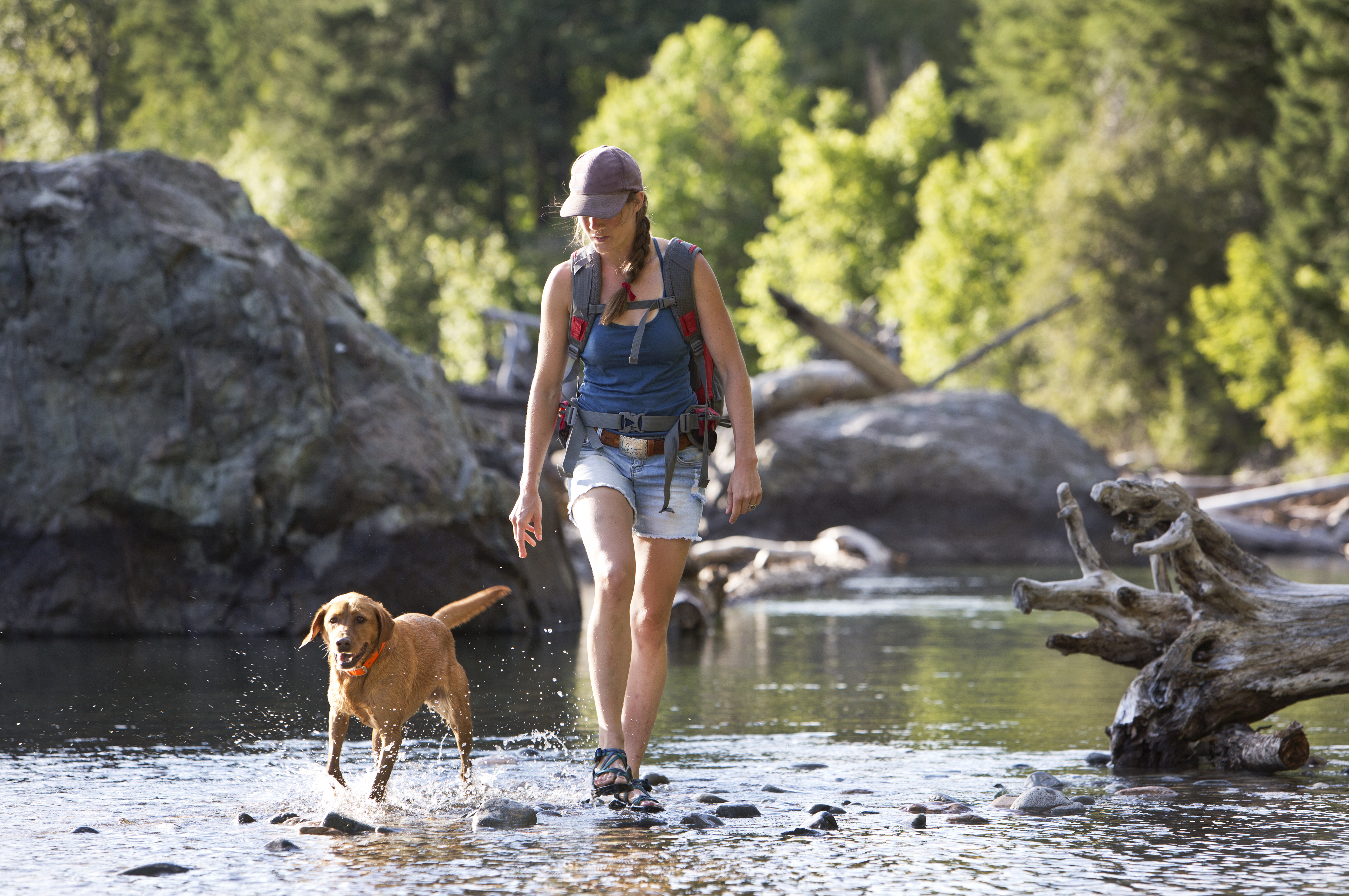 A hiker and her dog cross the shallow part of a river in the western United States. They are on a day hike and the woman is carrying a small backpack.