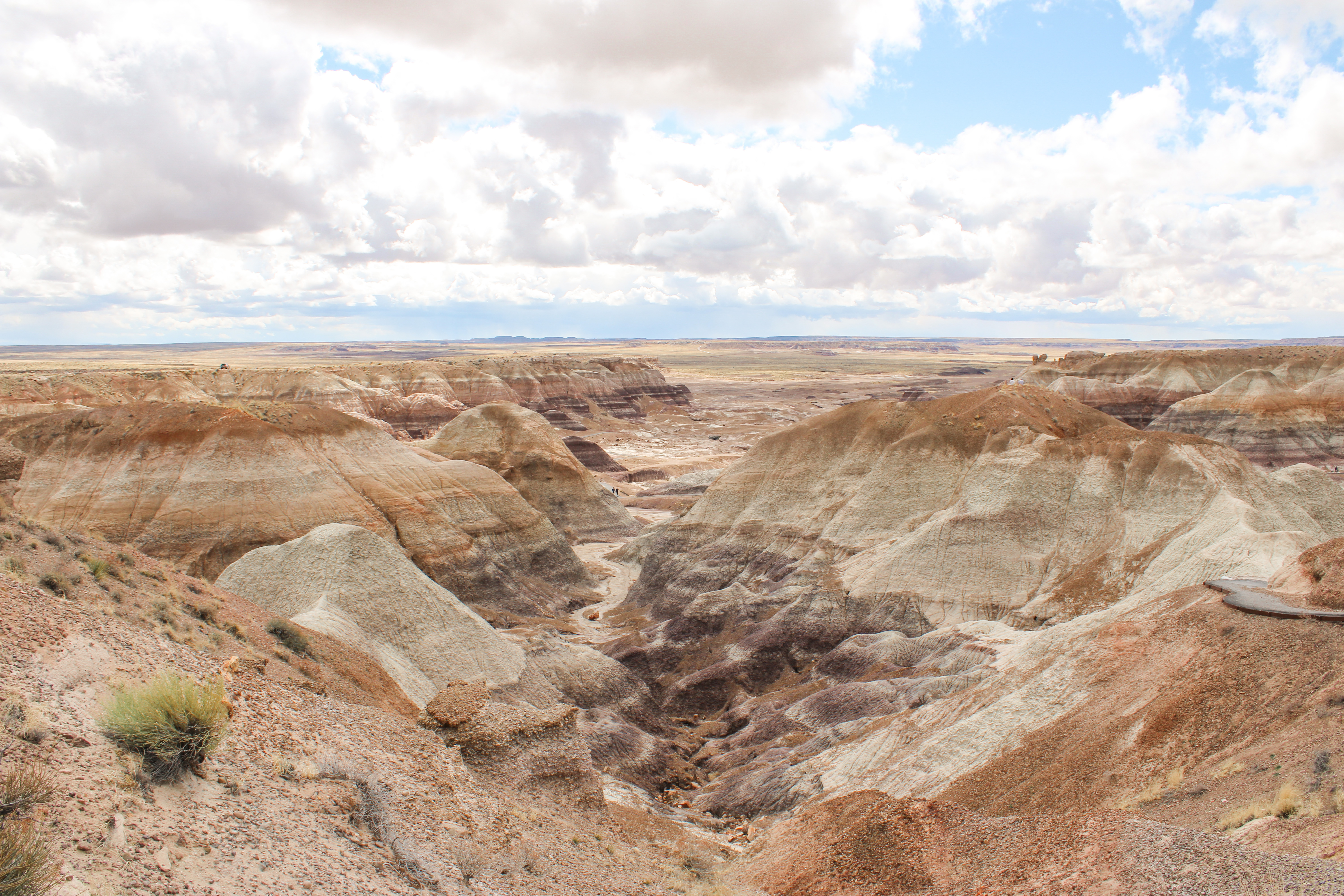 Petrified Forest National Park