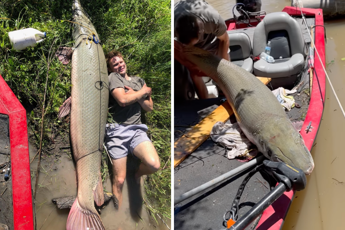 Paul Hefner lays next to record fish