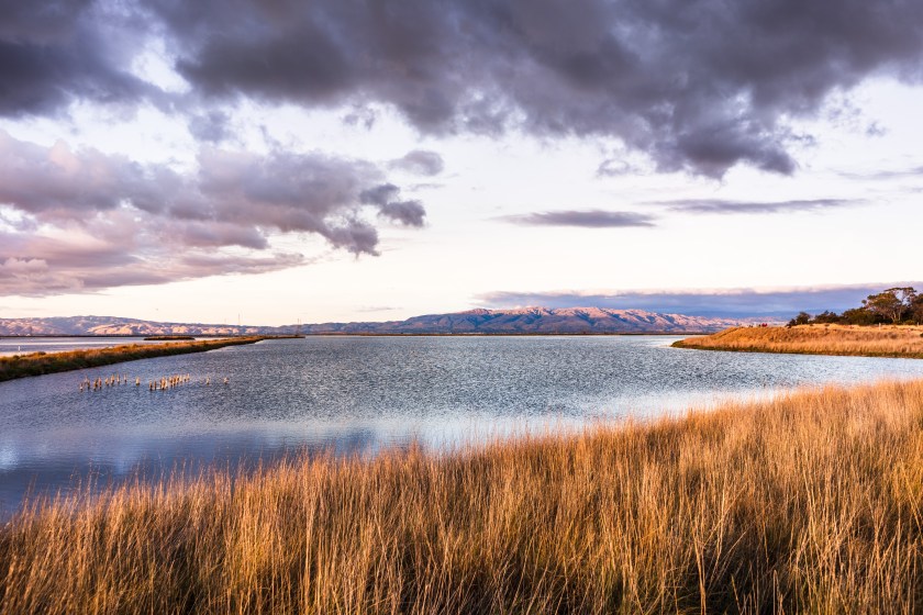 Sunset views of the restored wetlands of South San Francisco Bay Area, with dark clouds reflected on the water surface and Diablo Mountain Range visible in the background, Mountain View, California