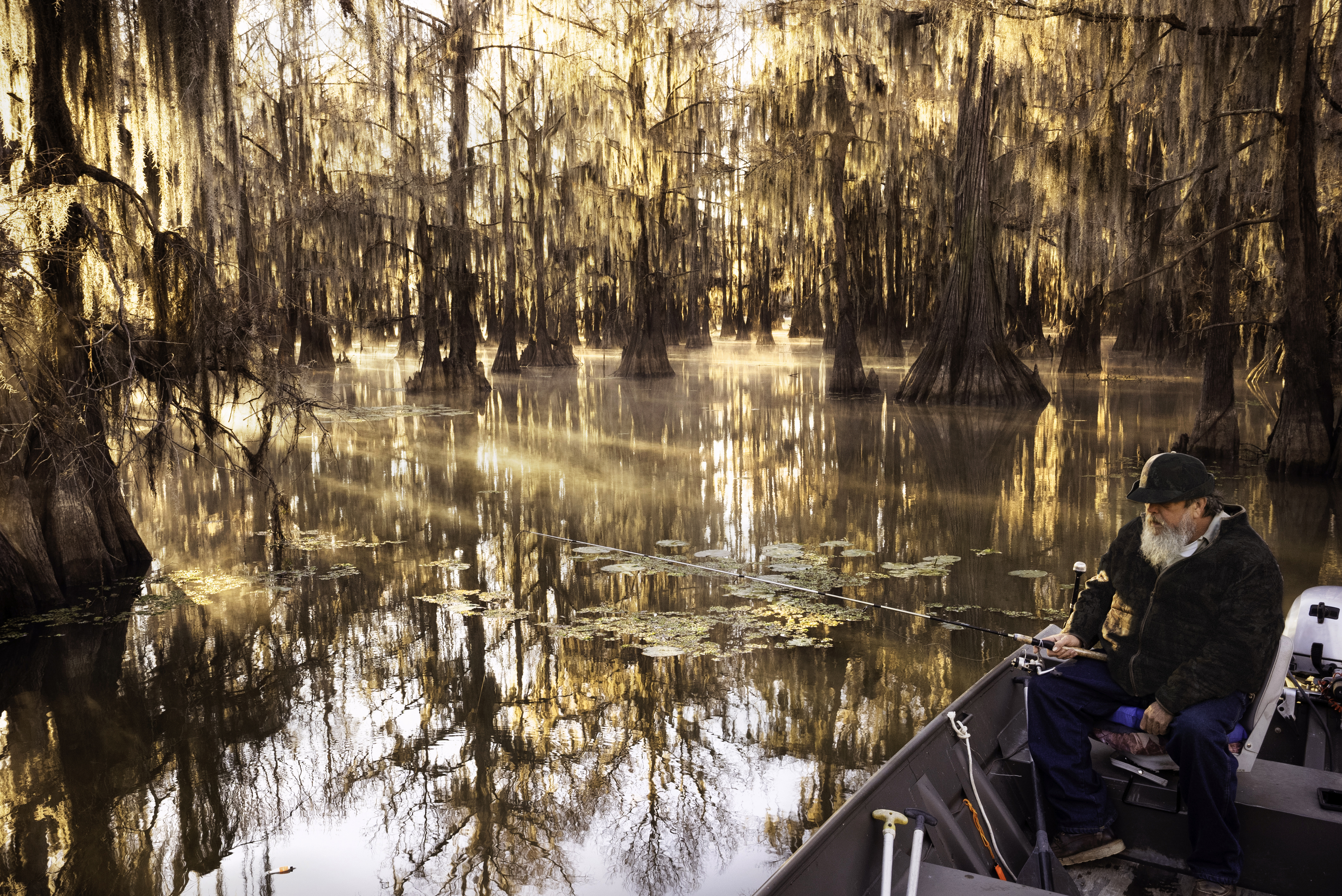 Senior man with long gray beard fishes from his boat on a calm quiet day in a bald cypress swamp, Caddo Lake, on the border between Louisiana and Texas, USA