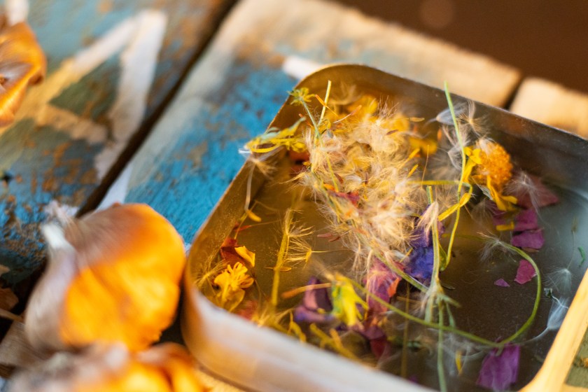 Close up of various flower seeds and bulbs