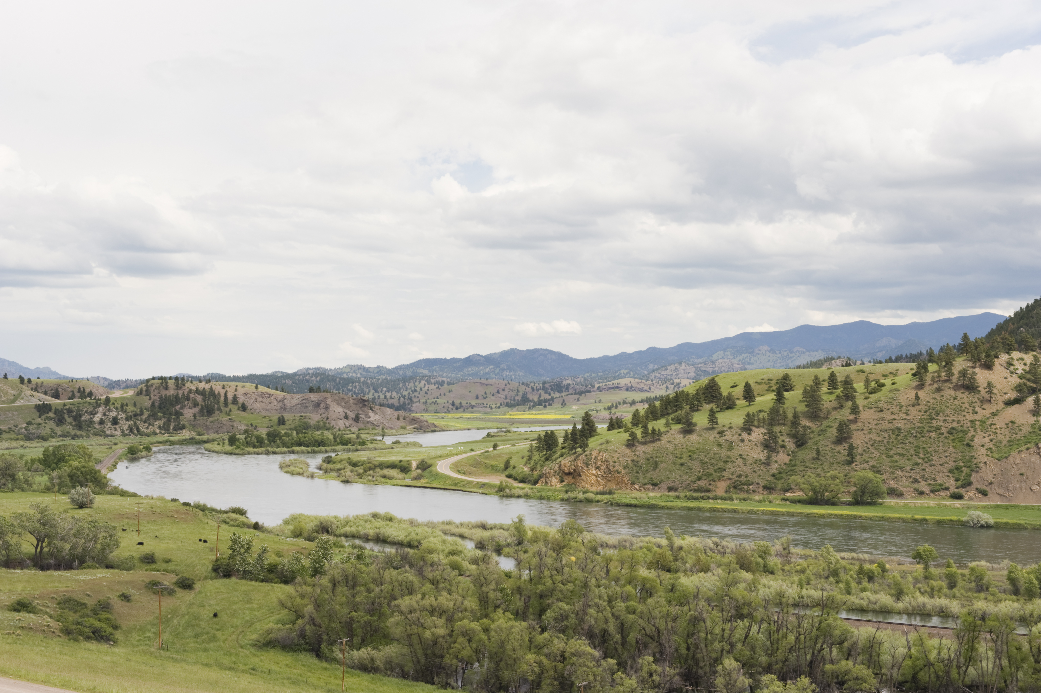 The Missouri River section that flows thru northern Montana.