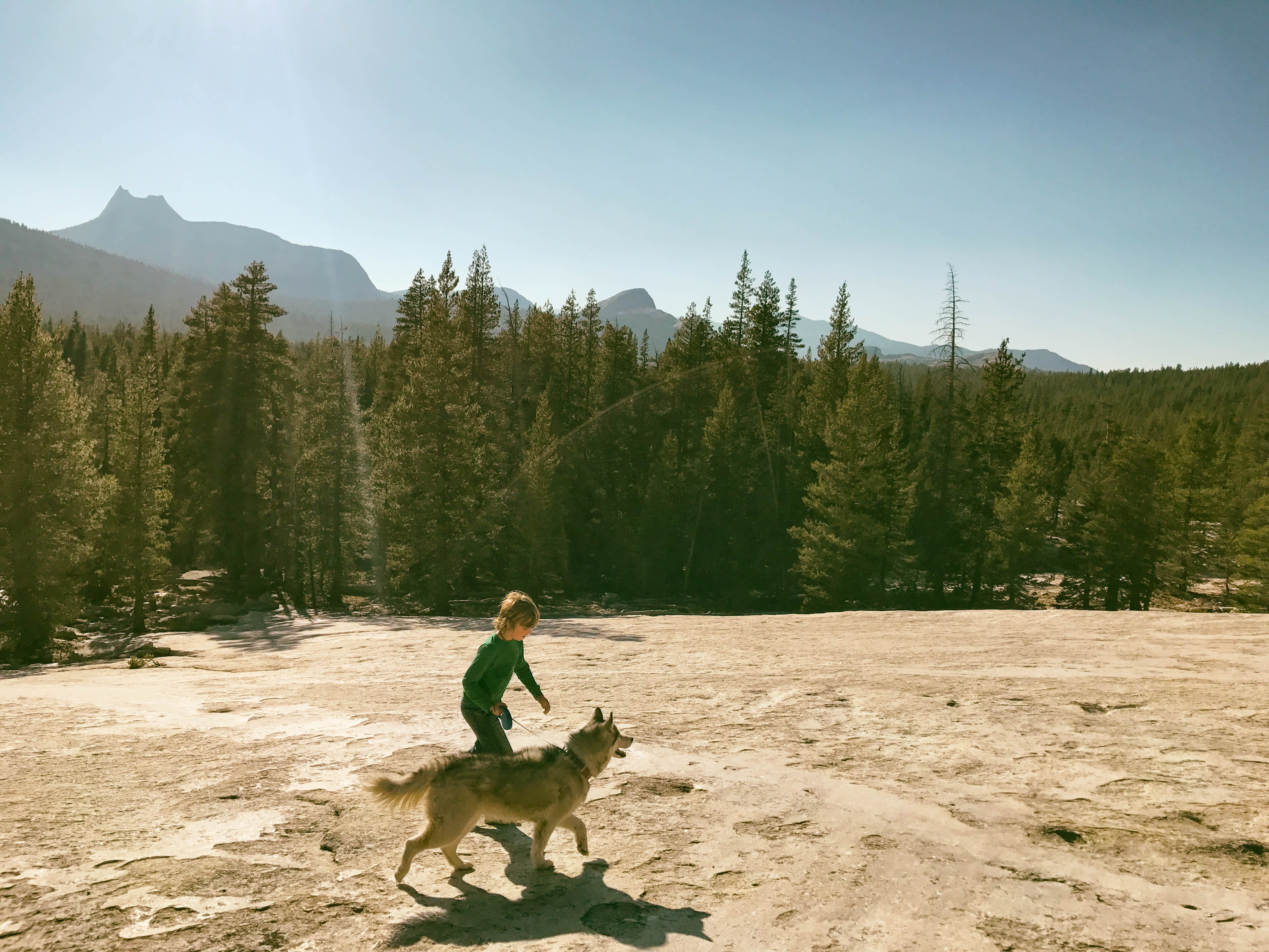 Young child hiking and climbing on a dome in Yosemite on a beautiful summer evening
