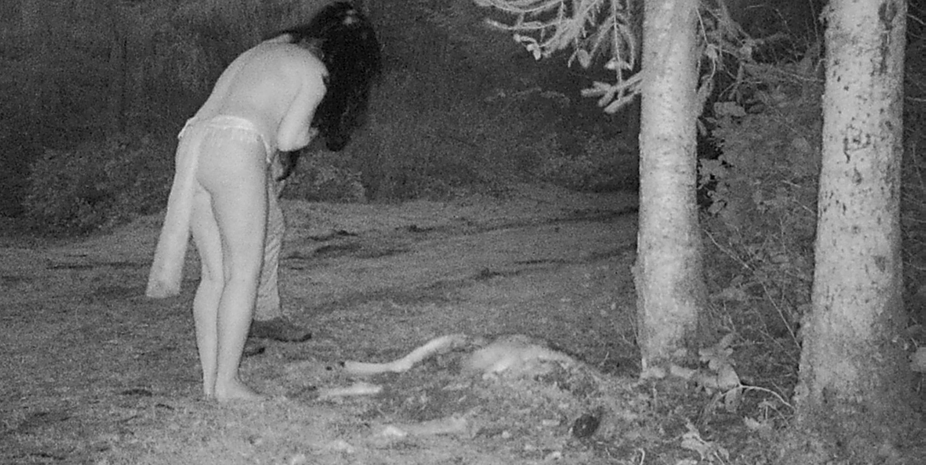Witches eating deer carcass from trail cam