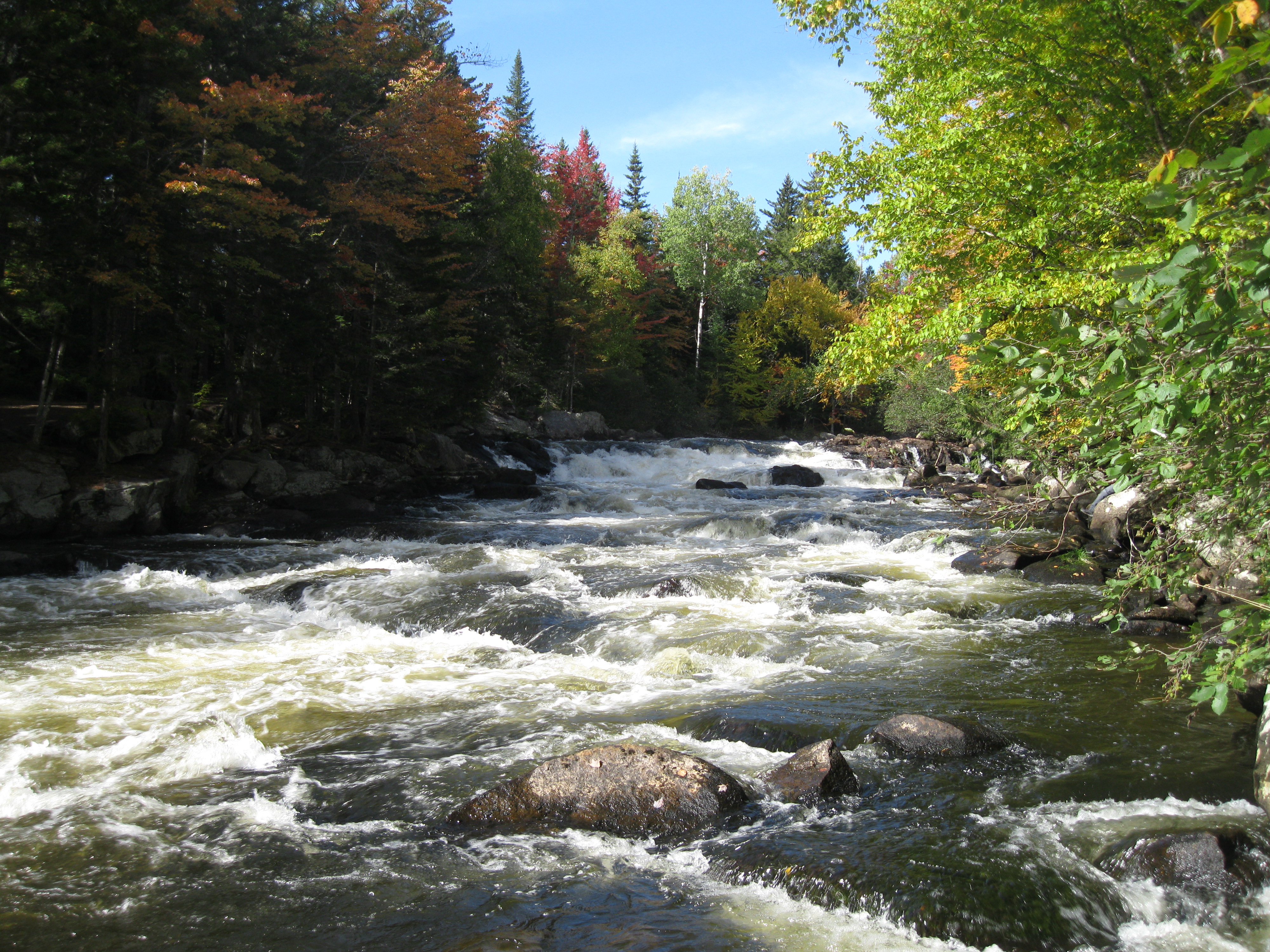 high water in a river in New Yor