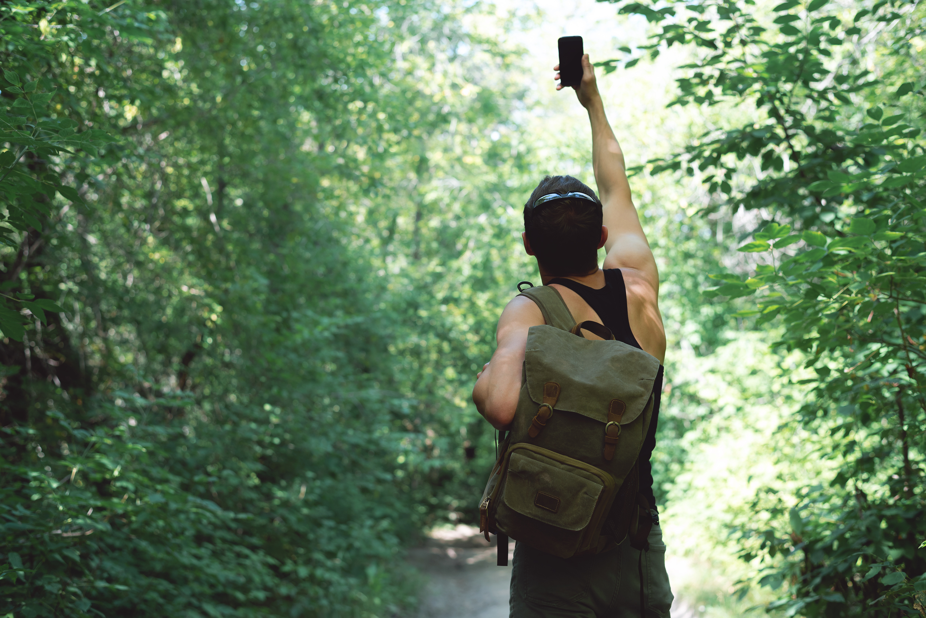 Man is stray in a forest and is trying to call mobile phone but no signal concept.