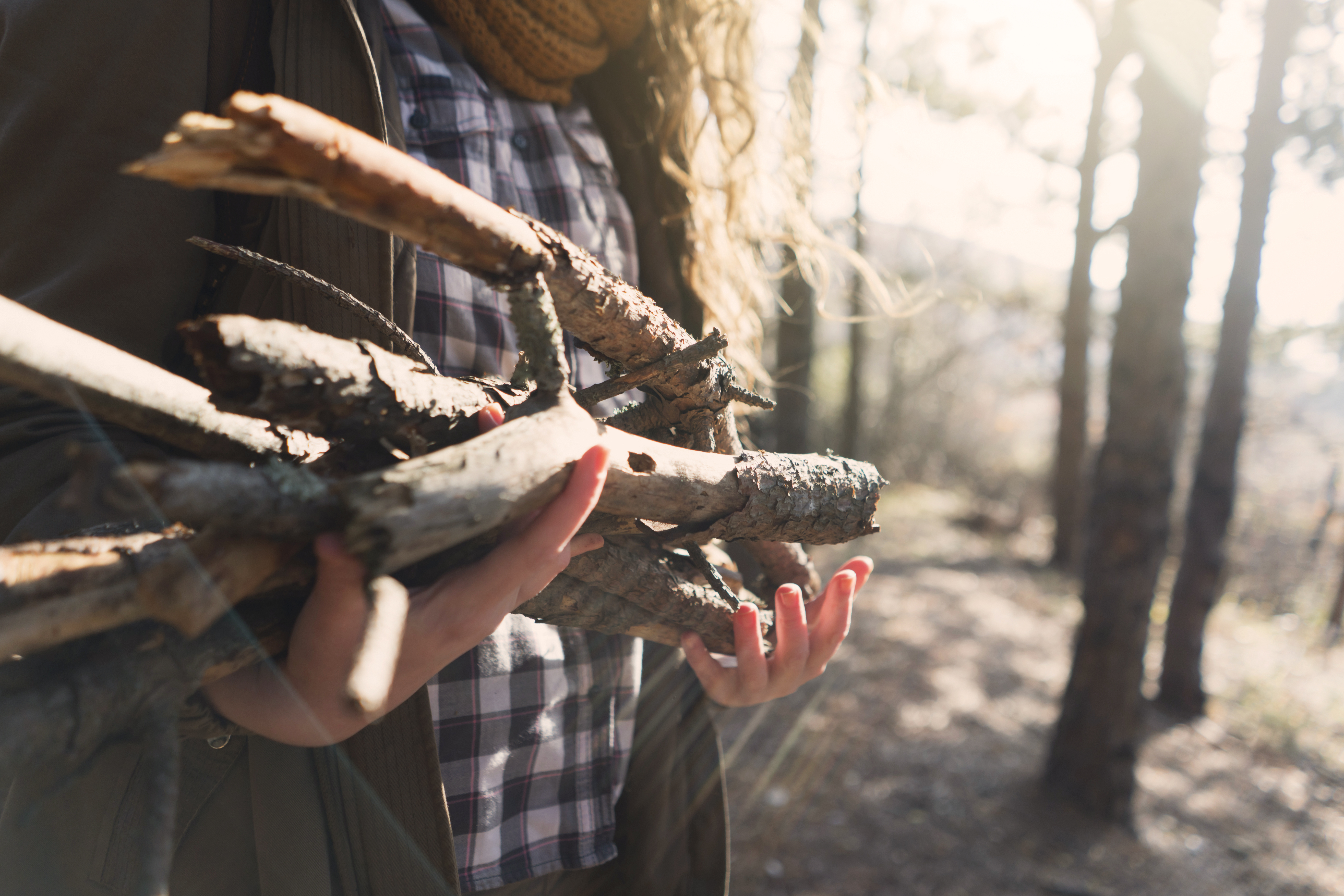 Arms full of firewood for camping in the woods.