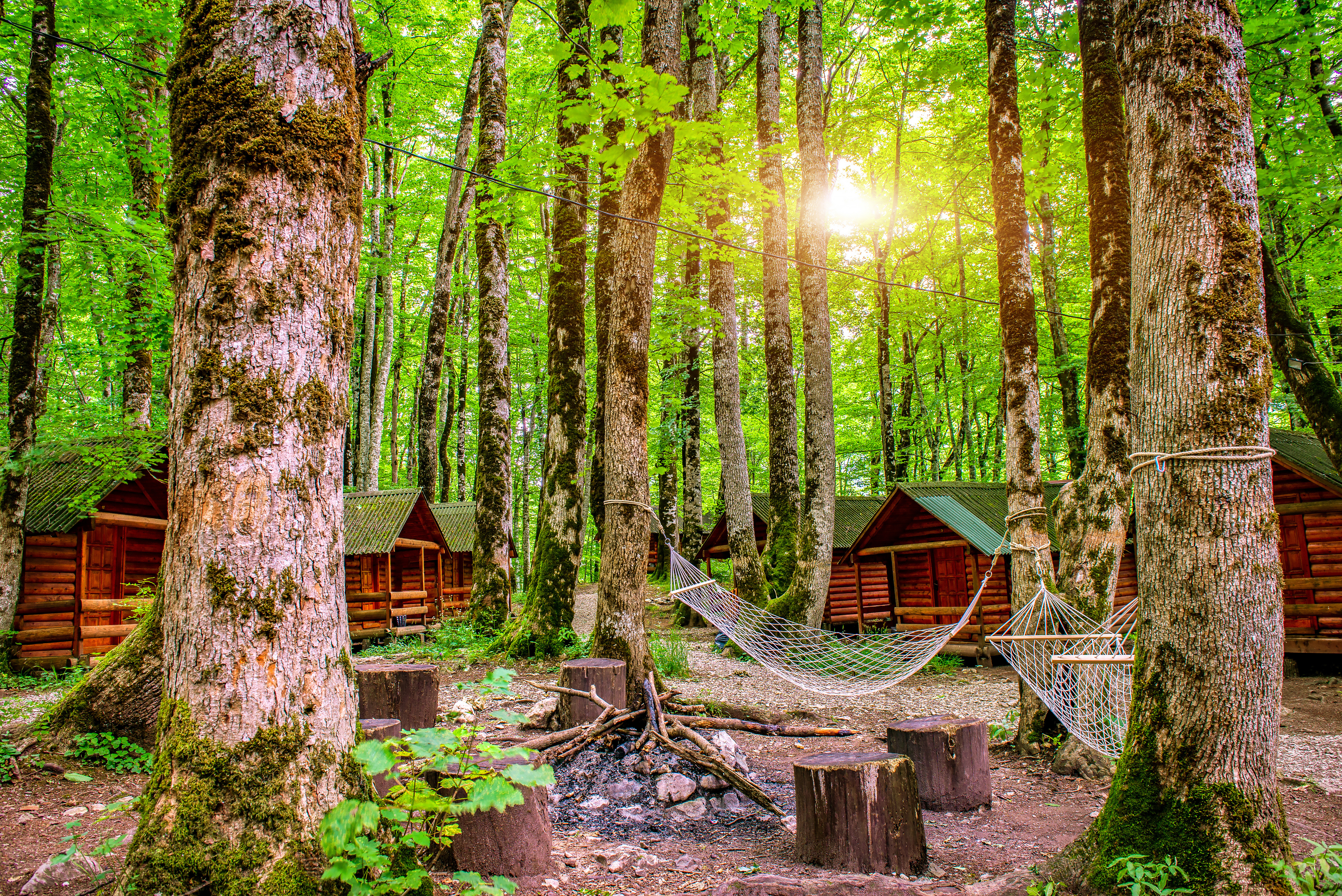 Sunrise in camping of Biogradska Gora National Park, Montenegro