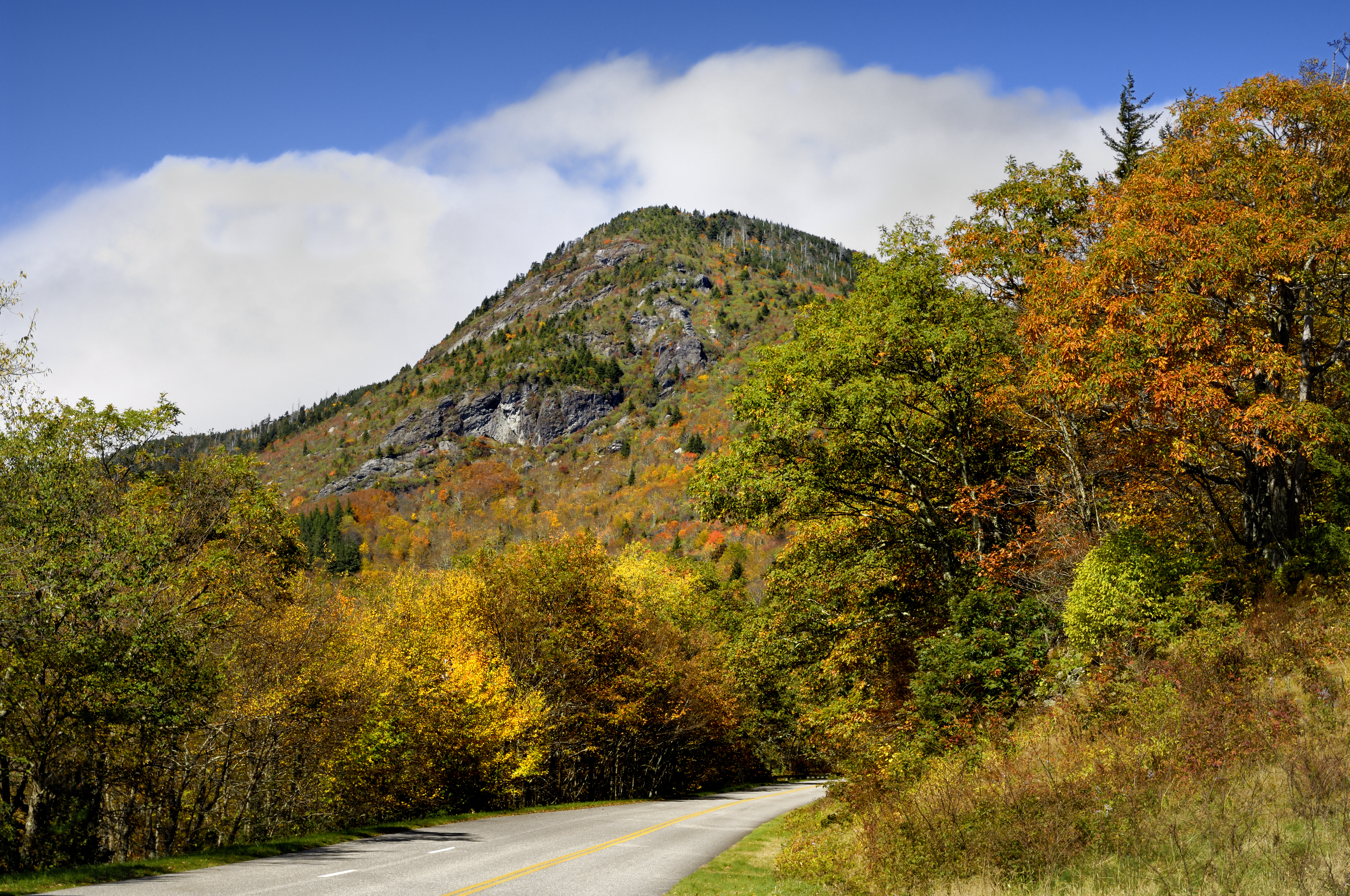 An autumn color view of the Mt. Mitchell state park area on the Blue Ridge Parkway, North Carolina, USA.
