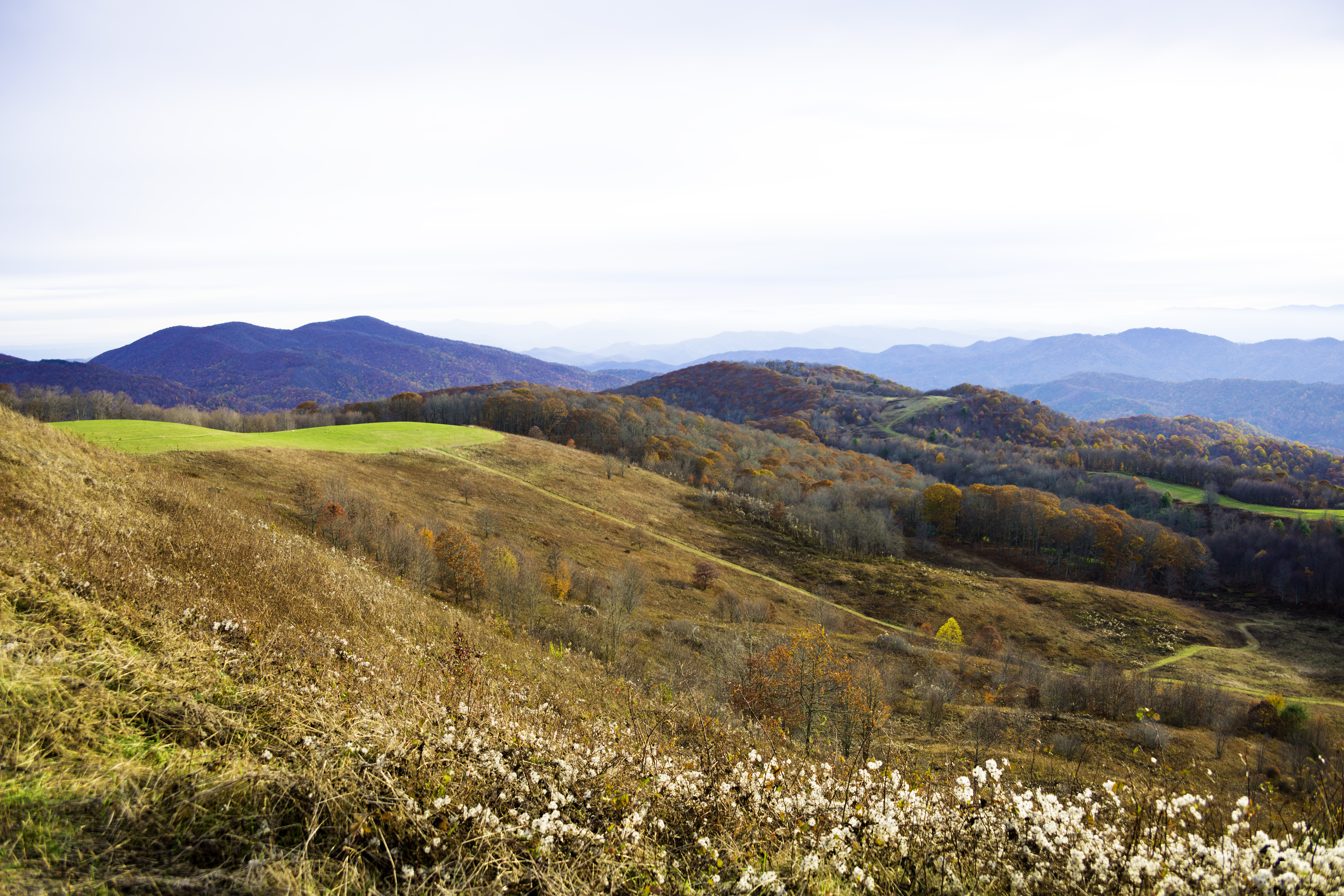 Max Patch in North Carolina with View of Blue Ridge Mountains.