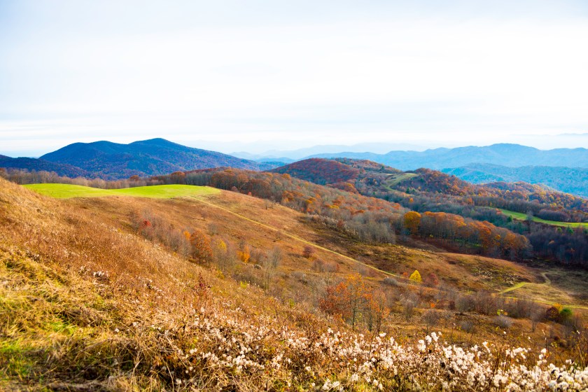 Max Patch in North Carolina with View of Blue Ridge Mountains.