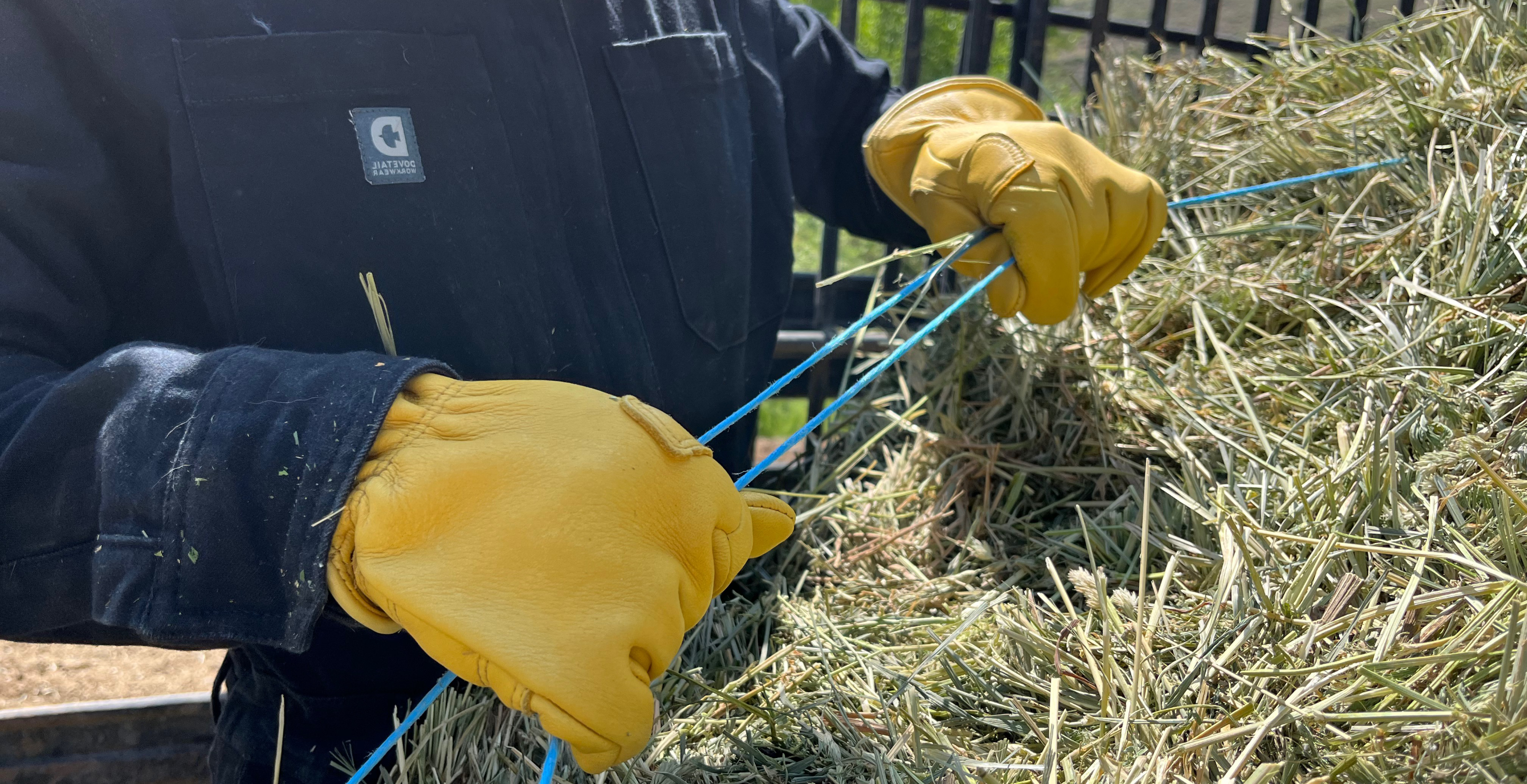 Dovetail Workwear for women used in the field