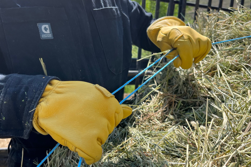 Dovetail Workwear for women used in the field